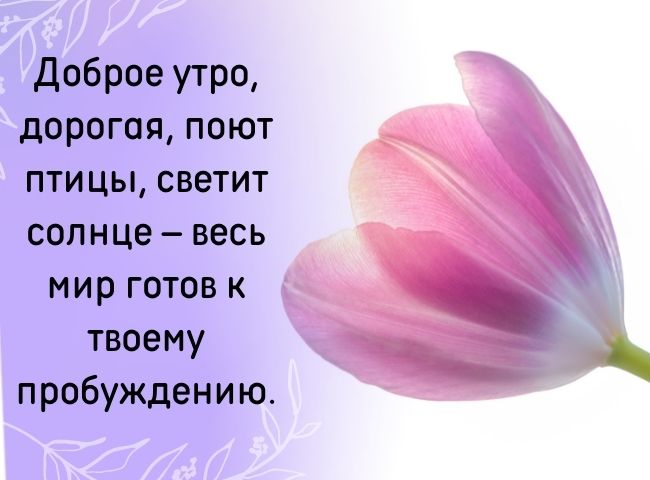 100 пожеланий с добрым утром женщине