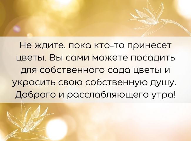 100 пожеланий с добрым утром женщине