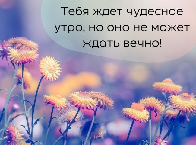 100 пожеланий с добрым утром женщине