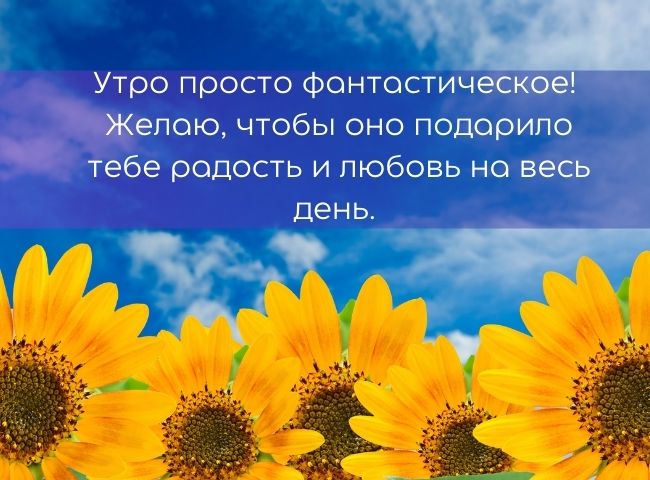 100 пожеланий с добрым утром женщине