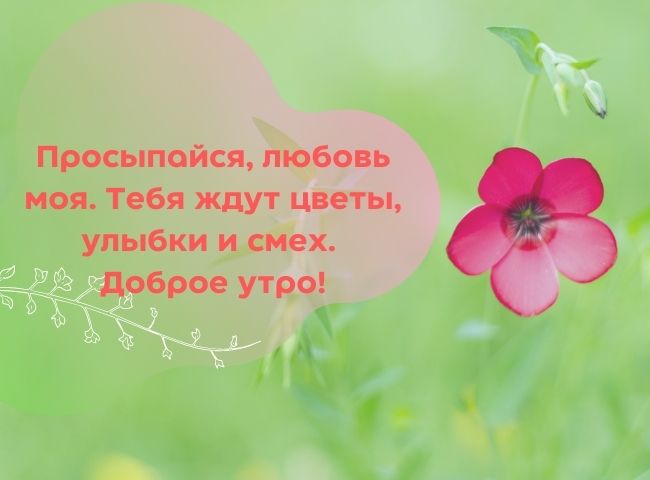 100 пожеланий с добрым утром женщине