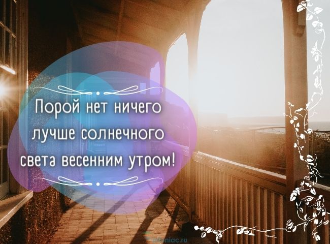 25 весенних открыток с добрым утром