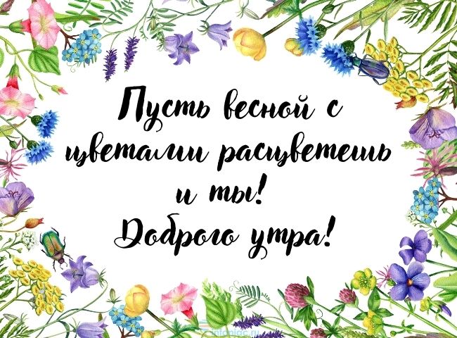 25 весенних открыток с добрым утром