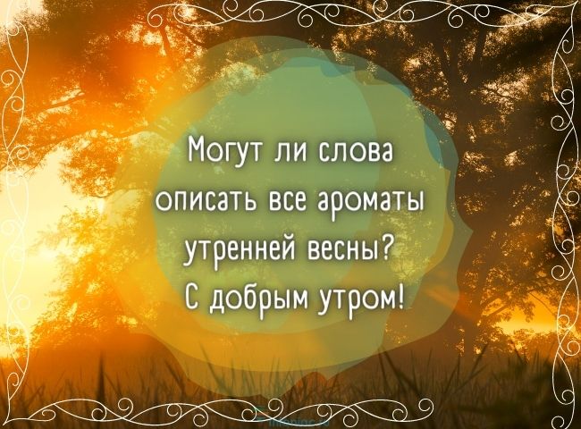 25 весенних открыток с добрым утром