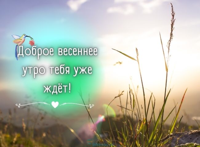 25 весенних открыток с добрым утром