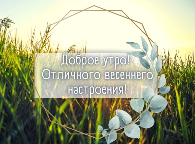 25 весенних открыток с добрым утром