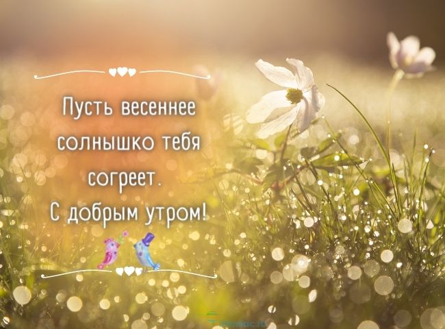 25 весенних открыток с добрым утром