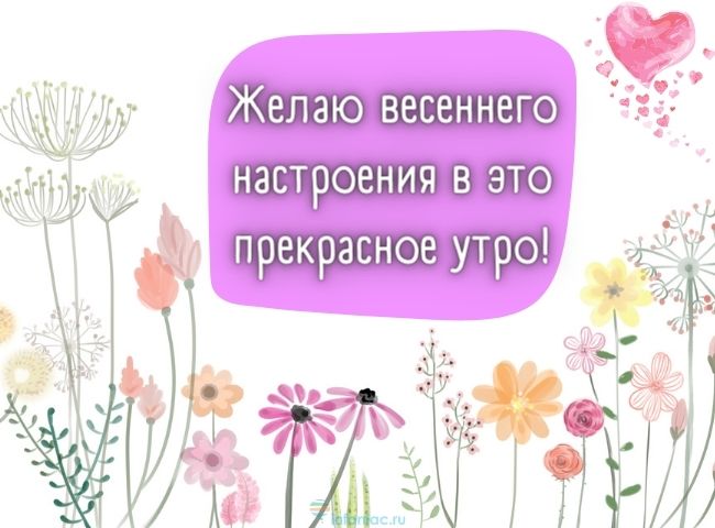 25 весенних открыток с добрым утром