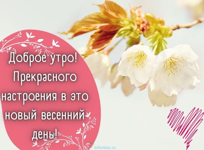 25 весенних открыток с добрым утром