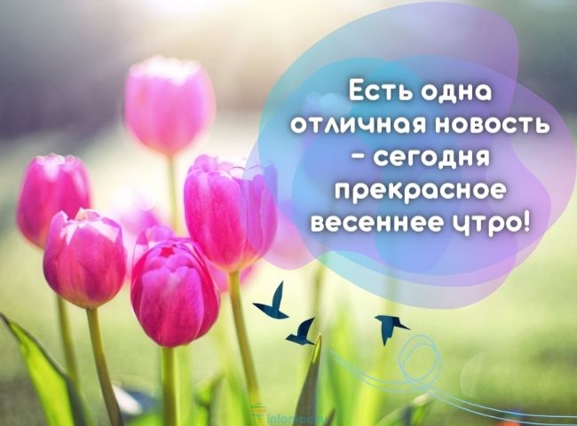 25 весенних открыток с добрым утром