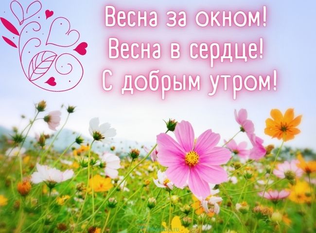 25 весенних открыток с добрым утром