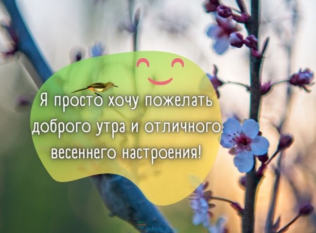 25 весенних открыток с добрым утром