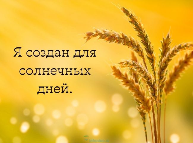 35 красивых цитат про весну, пробуждающих радость в душе