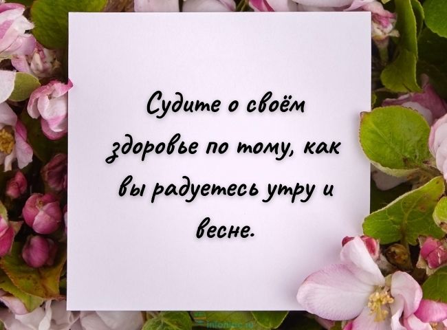 35 красивых цитат про весну, пробуждающих радость в душе