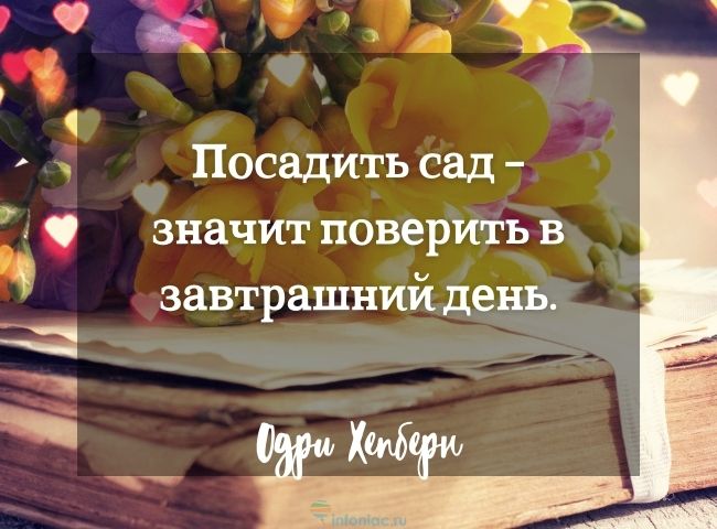 35 красивых цитат про весну, пробуждающих радость в душе