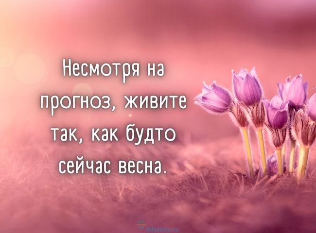 35 красивых цитат про весну, пробуждающих радость в душе