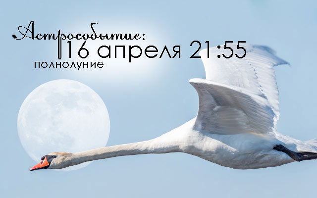 Лунный календарь повседневности: благоприятные дни для разных дел в апреле 2022