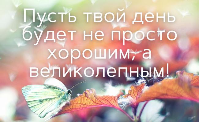 75 пожеланий хорошего дня для коллег, друзей, любимых и родных