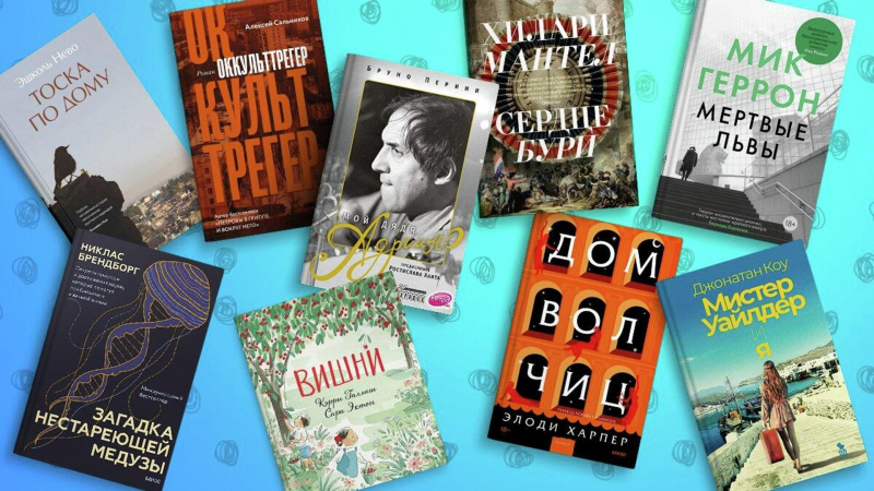 Биография Челентано, новый Сальников и книга молодости: что взять в отпуск
