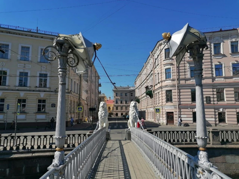 В Петербурге задержали вандала, повредившего фонари на Львином мосту