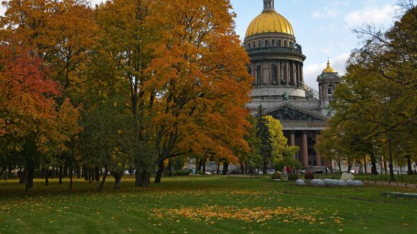 Доктор, можно мне в музей: как сделать искусство лекарством