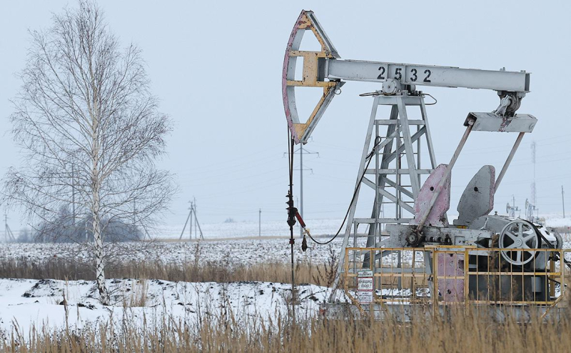 Аналитики описали тактику России и ОПЕК на фоне нефтяного эмбарго ЕС