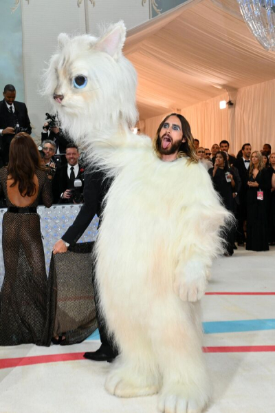 Косплей Лагерфельда и его кошки: как прошел бал Института костюма Met Gala