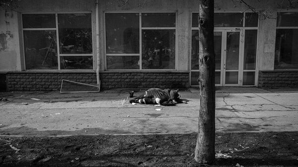 Конкурс Стенина: СВО и Олимпиада в объективе победителей