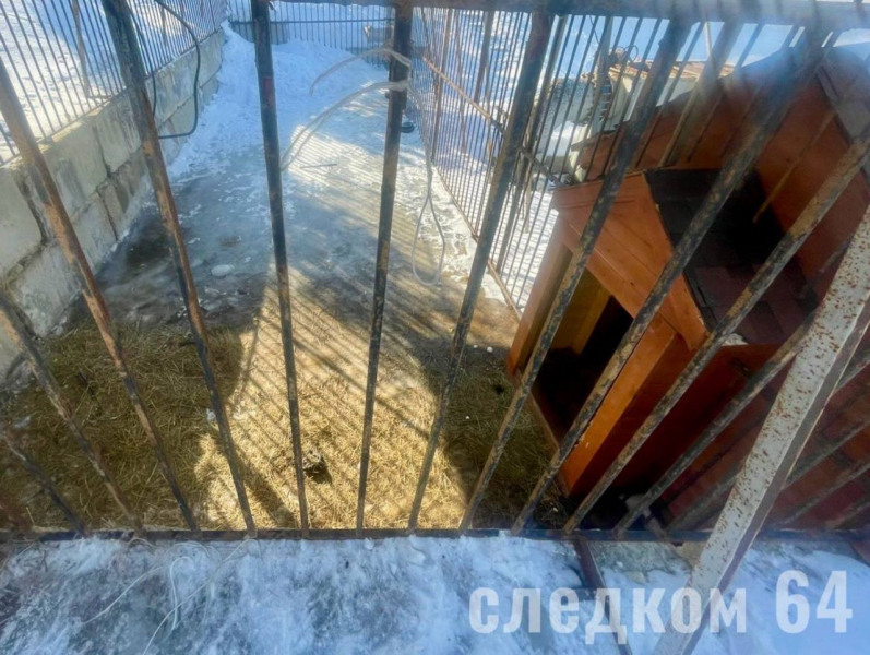 В ЕС заявили о планах отказа от транзита российского газа через Украину